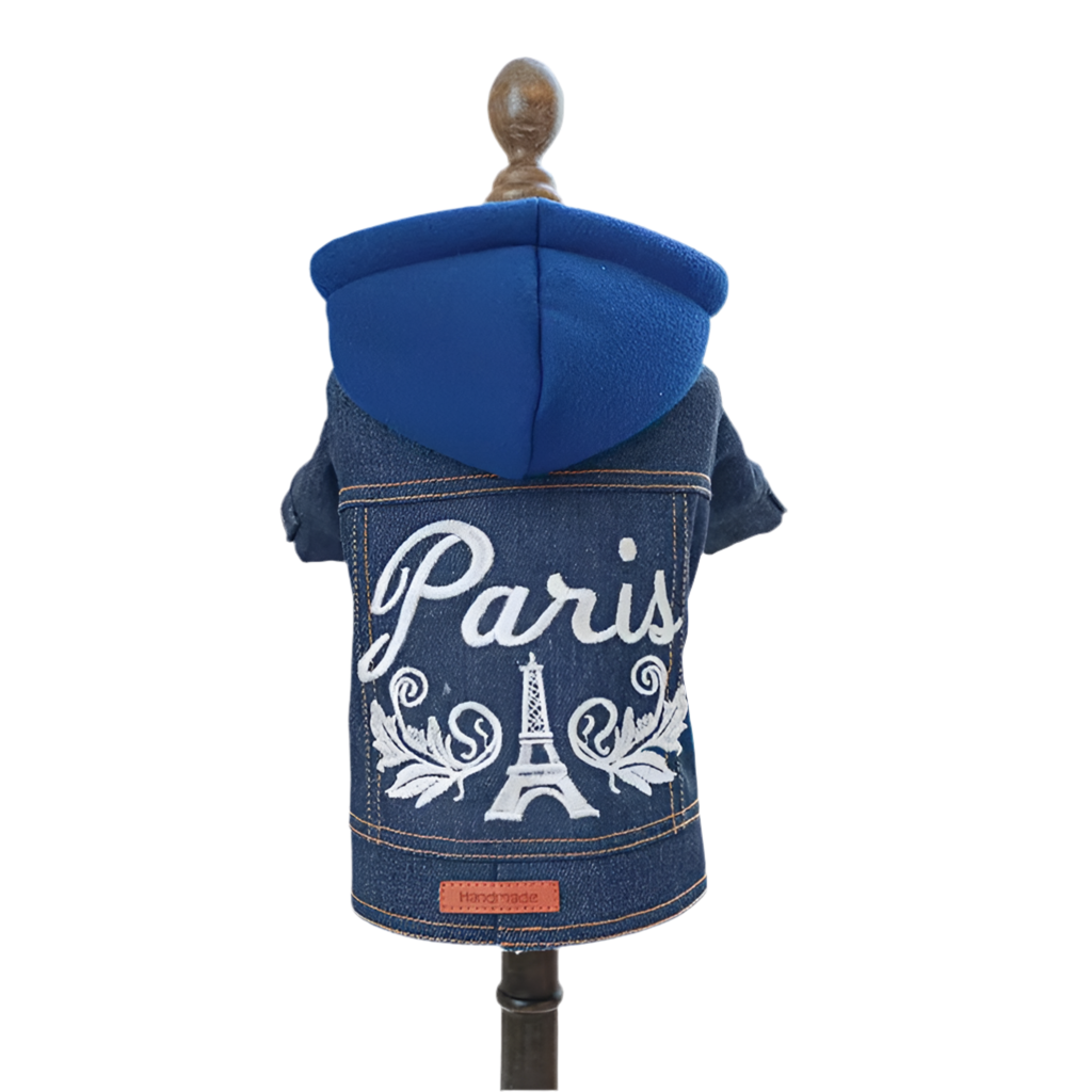 Paris Denim Hoodie